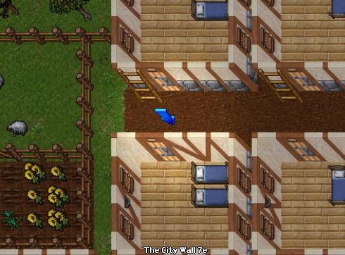 house image